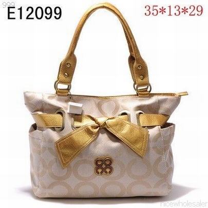 Coach handbags126